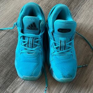 Adidas Crayola Shoes